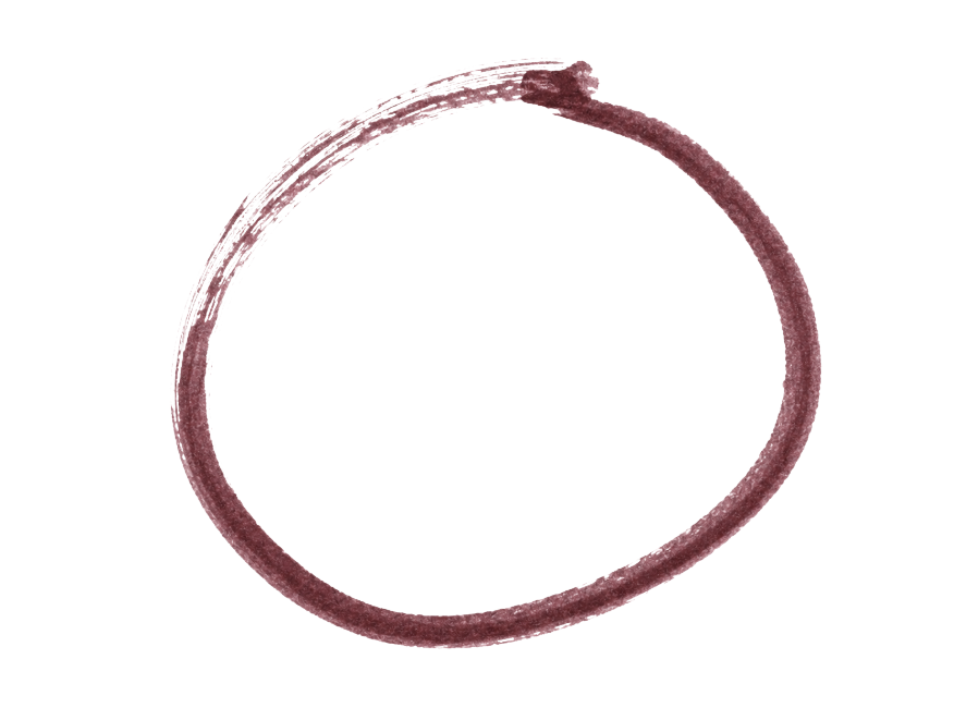 Hand-drawn circle annotation